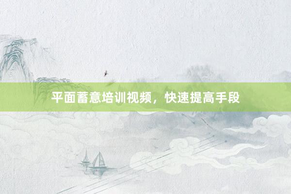 平面蓄意培训视频，快速提高手段