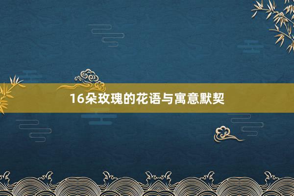 16朵玫瑰的花语与寓意默契