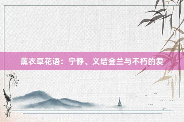 薰衣草花语：宁静、义结金兰与不朽的爱