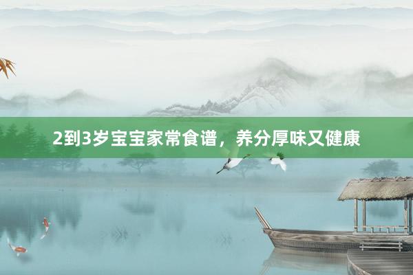 2到3岁宝宝家常食谱，养分厚味又健康